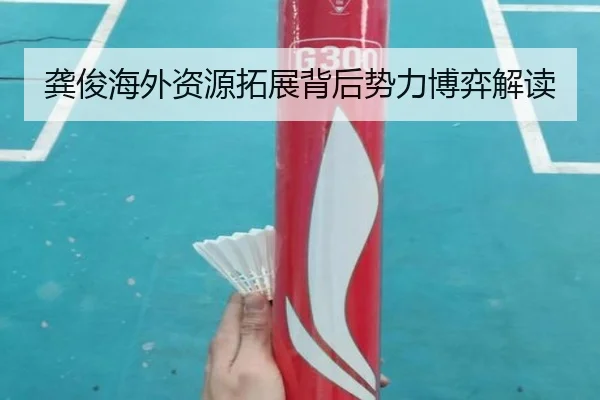 龚俊海外资源拓展背后势力博弈解读